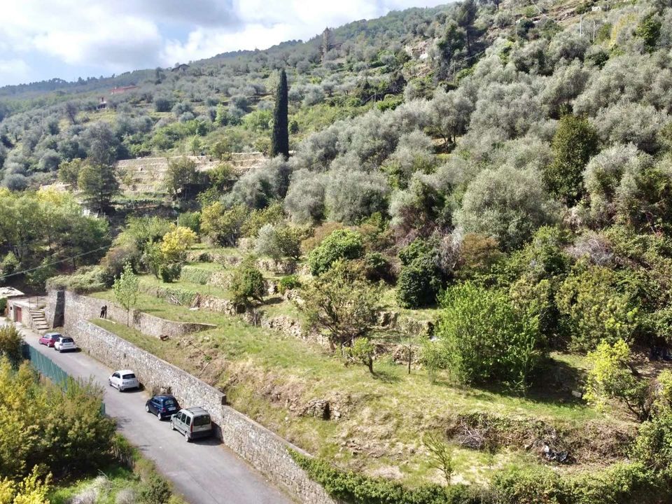 Villa i Dolceacqua, Imperia - foto 3