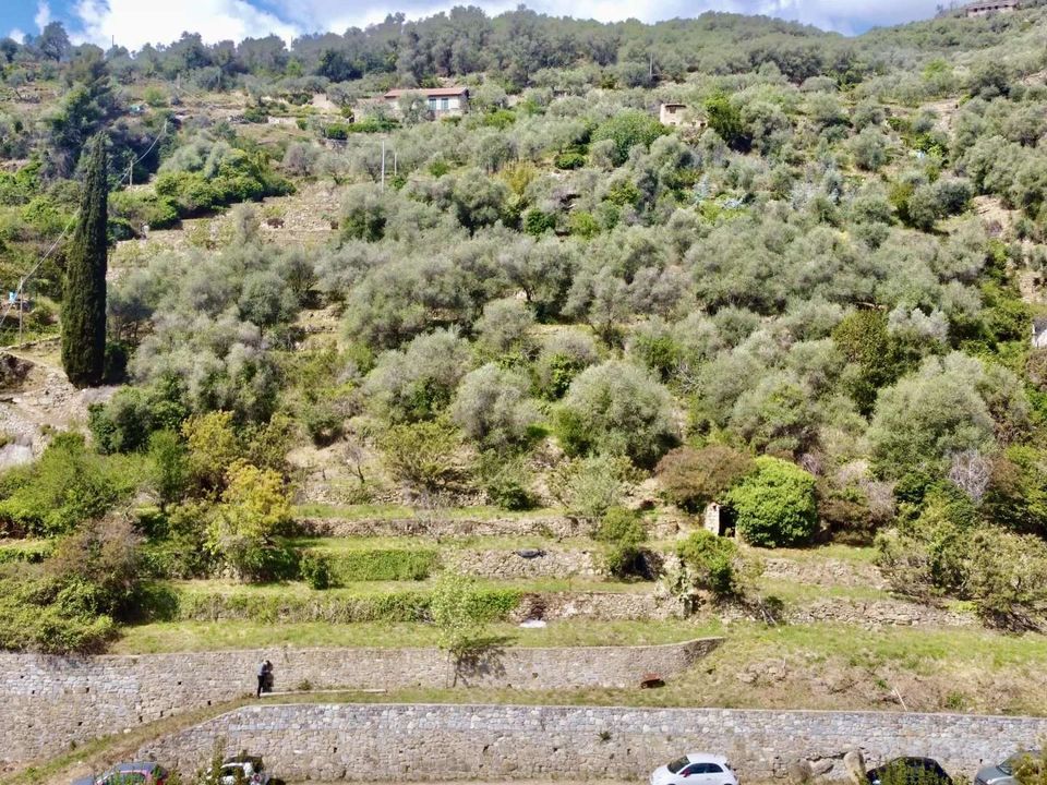 Villa i Dolceacqua, Imperia - foto 4
