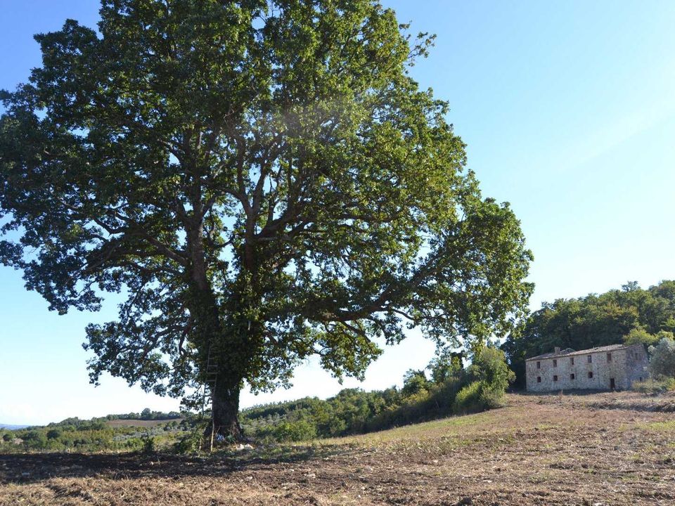 Villa i Allerona, Terni - foto 3