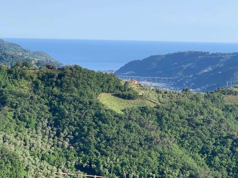 Villa i Dolceacqua, Imperia - foto 2