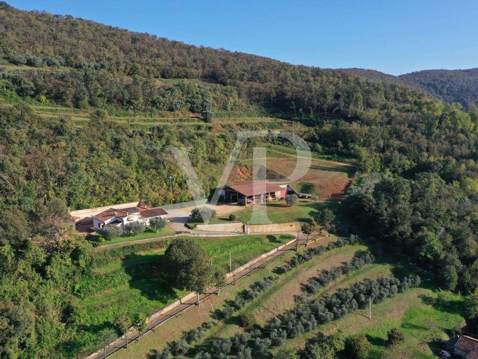 Villa i Val Liona, Vicenza - foto 3
