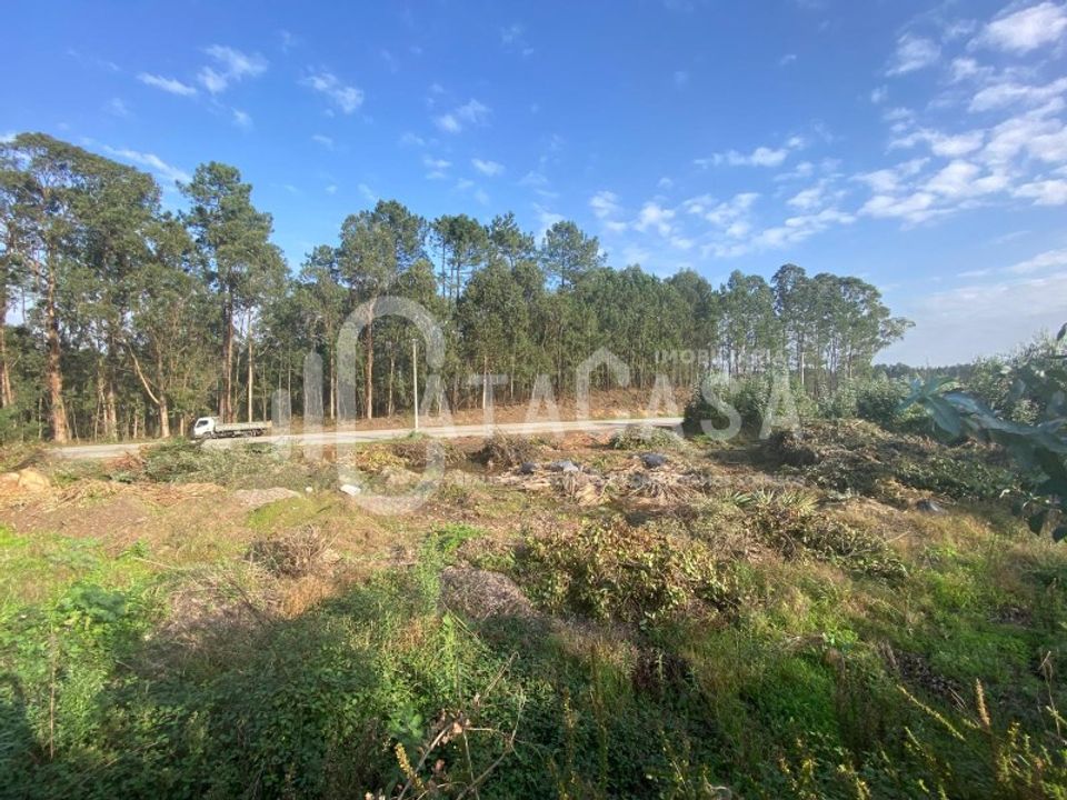 Helårsgrund i Barro, Aveiro - foto 3