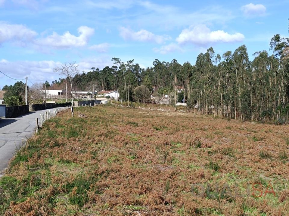 Helårsgrund i Barcelos, Braga - foto 1