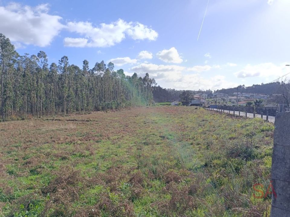 Helårsgrund i Barcelos, Braga - foto 4