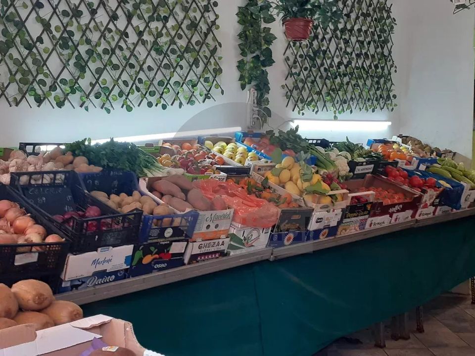 Erhvervsejendom i Menton, Alpes-Maritimes - foto 2