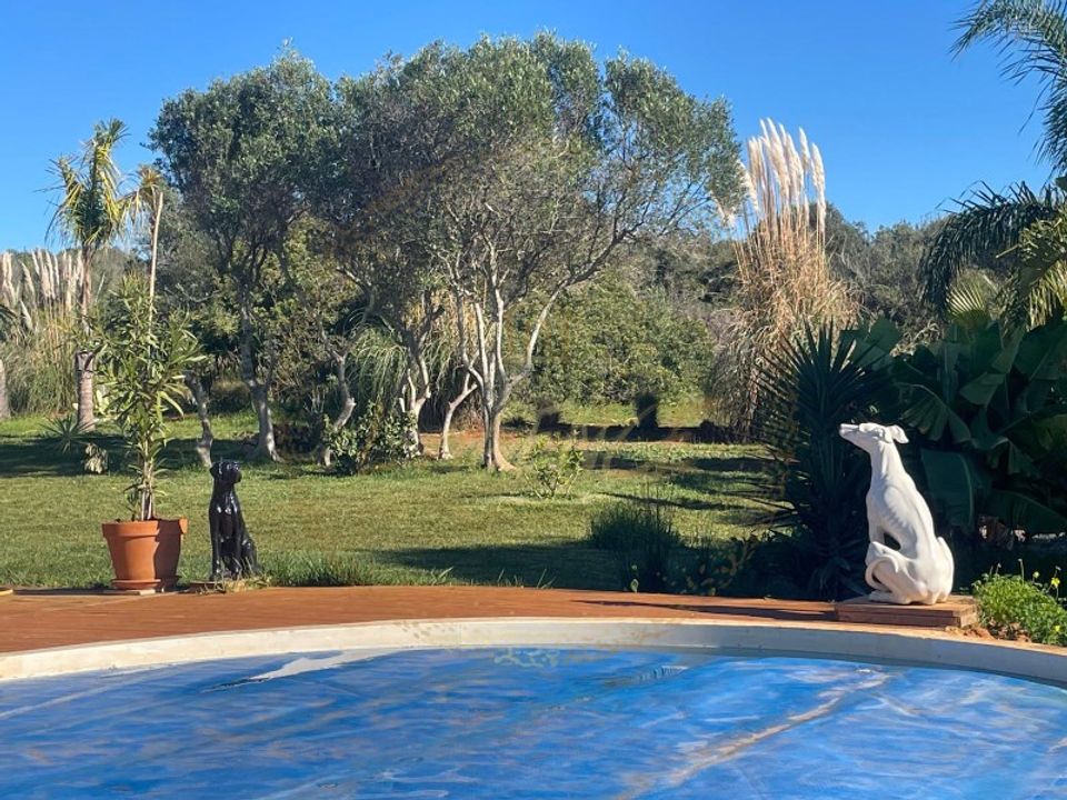 Helårsgrund i Barao de Sao Joao, Faro - foto 3