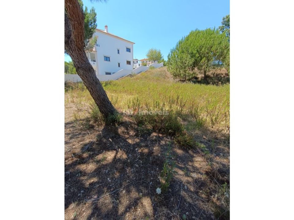 Helårsgrund i Constancia, Santarem - foto 2