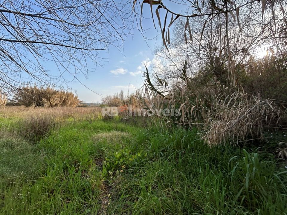 Helårsgrund i Tomar, Santarem - foto 2