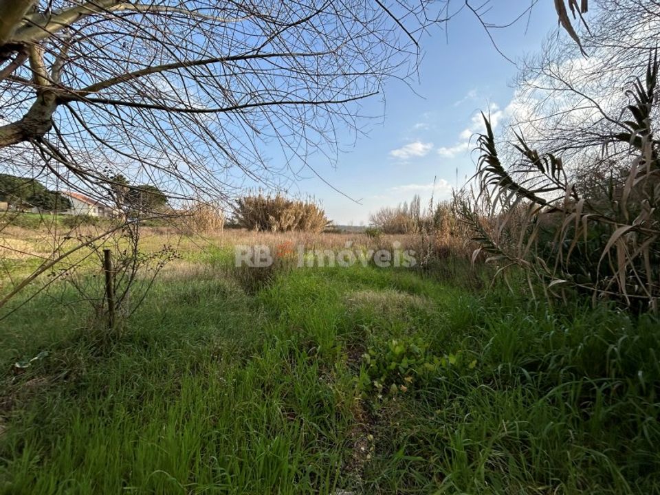Helårsgrund i Tomar, Santarem - foto 1