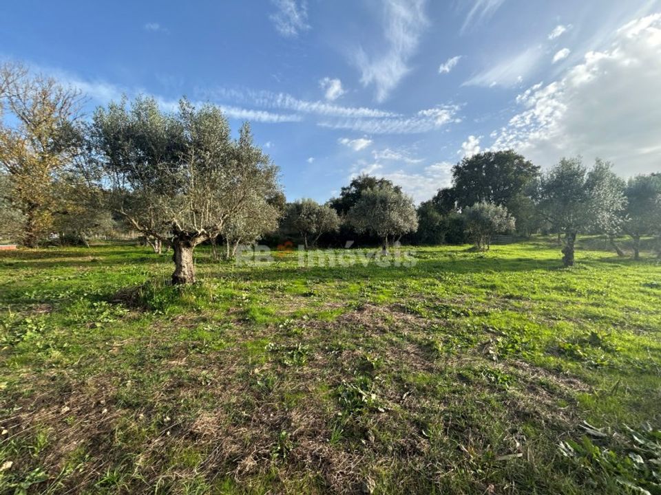 Helårsgrund i Tomar, Santarem - foto 4
