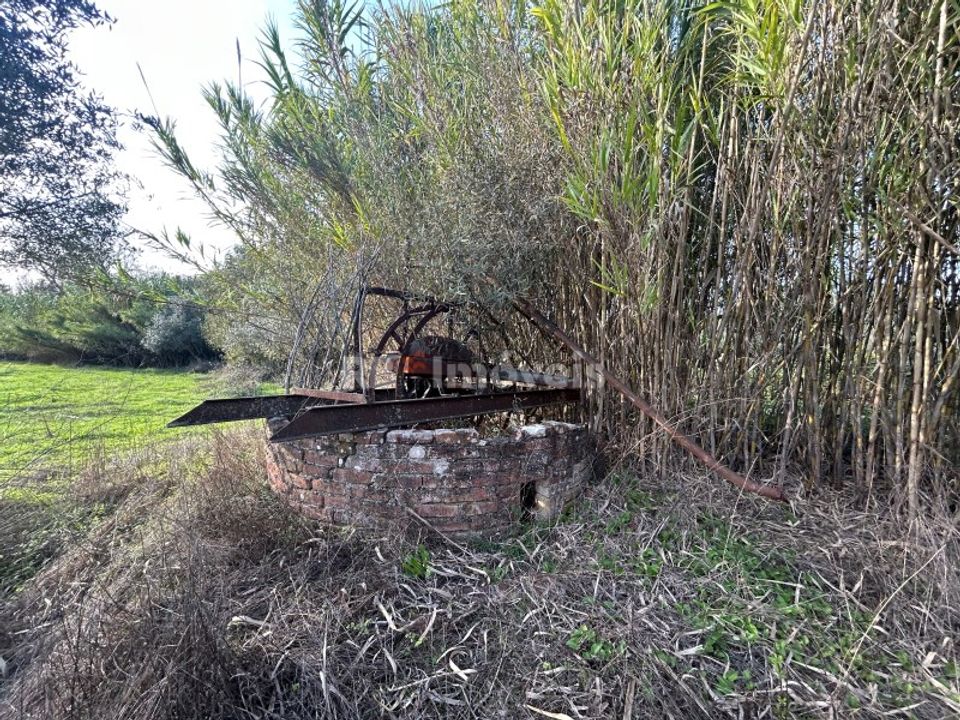 Helårsgrund i Tomar, Santarem - foto 2