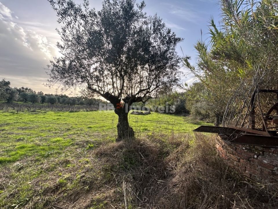 Helårsgrund i Tomar, Santarem - foto 5