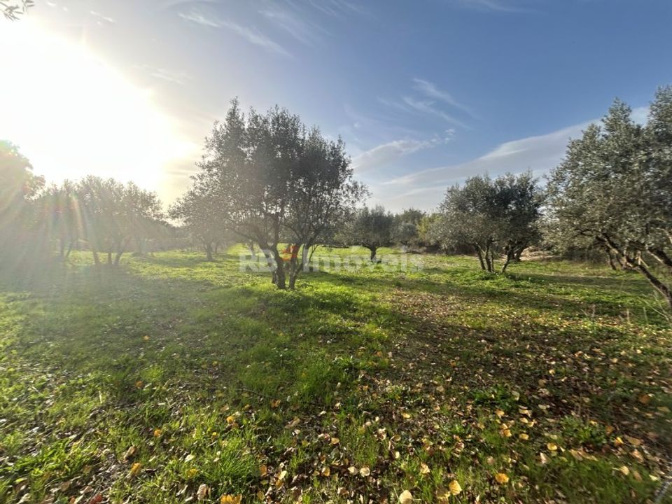 Helårsgrund i Tomar, Santarem - foto 1