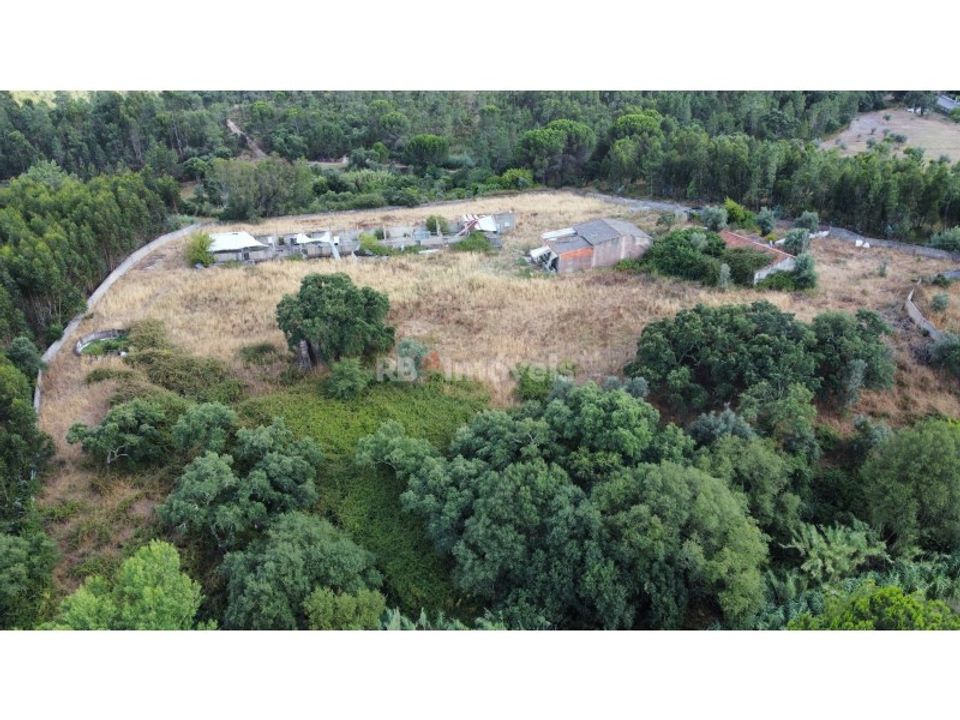 Farm i Montalvo, Santarem - foto 1