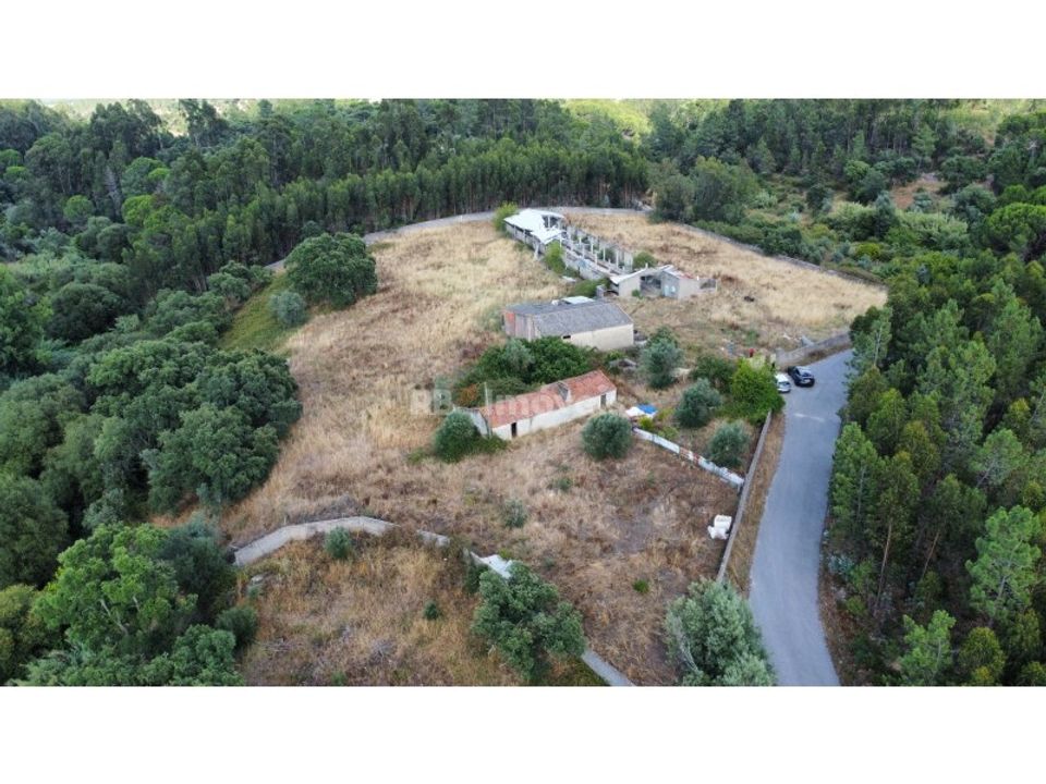Farm i Montalvo, Santarem - foto 2