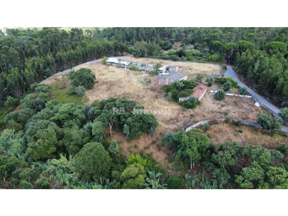 Farm i Montalvo, Santarem - foto 3