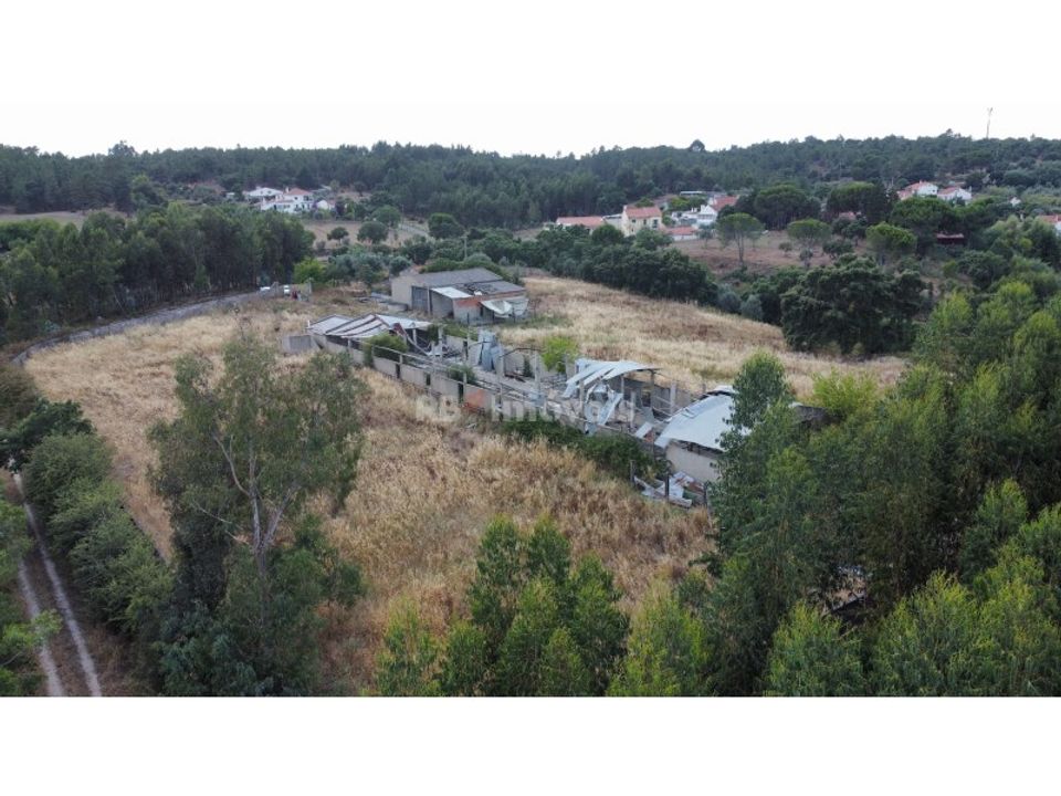 Farm i Montalvo, Santarem - foto 4