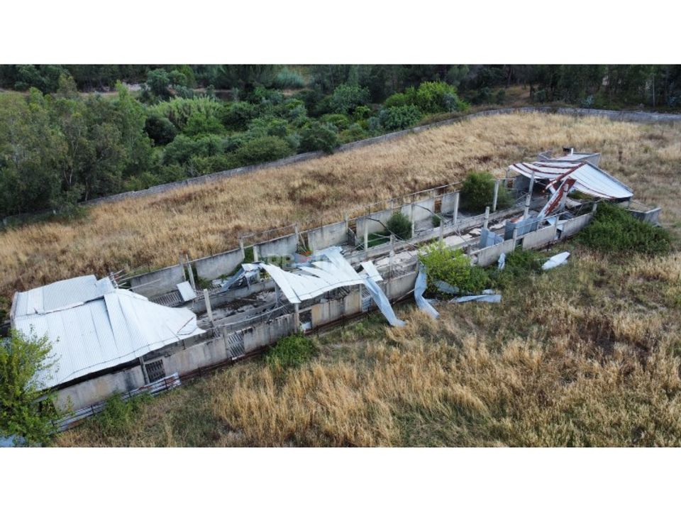 Farm i Montalvo, Santarem - foto 5