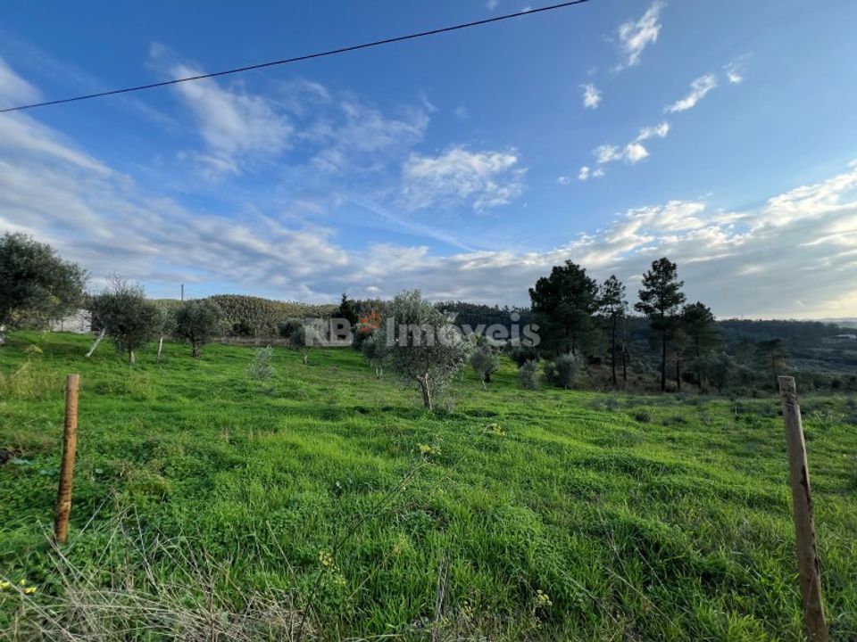 Helårsgrund i Tomar, Santarem - foto 1