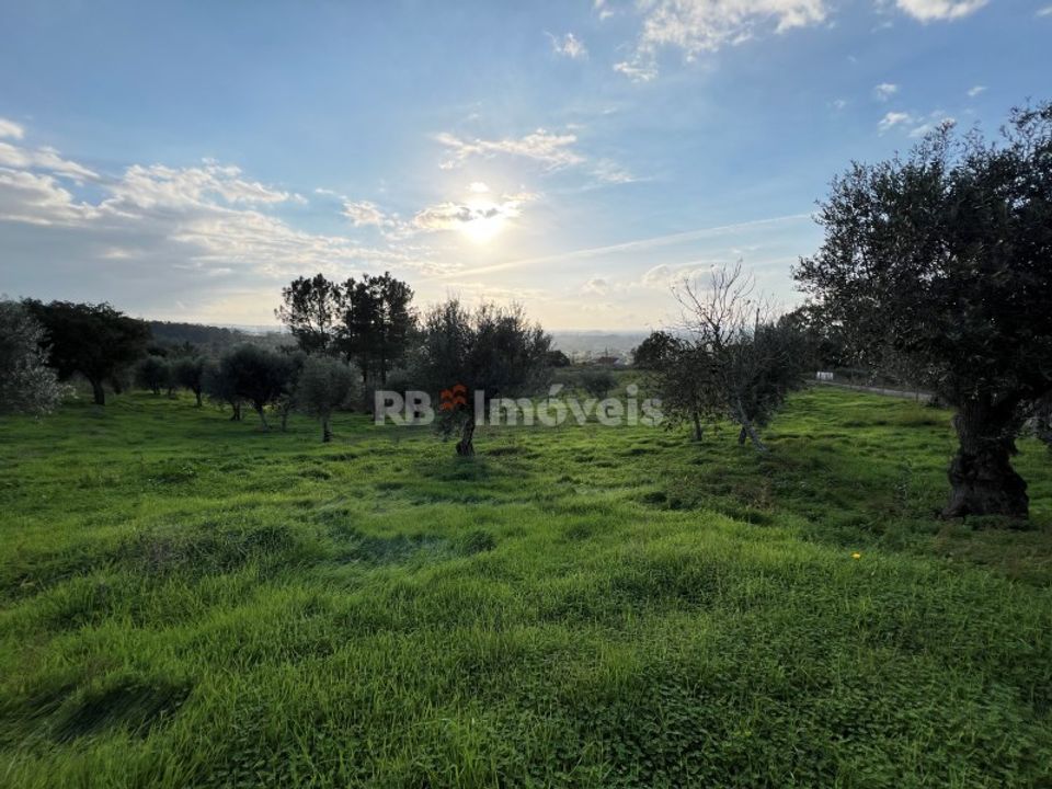 Helårsgrund i Tomar, Santarem - foto 3