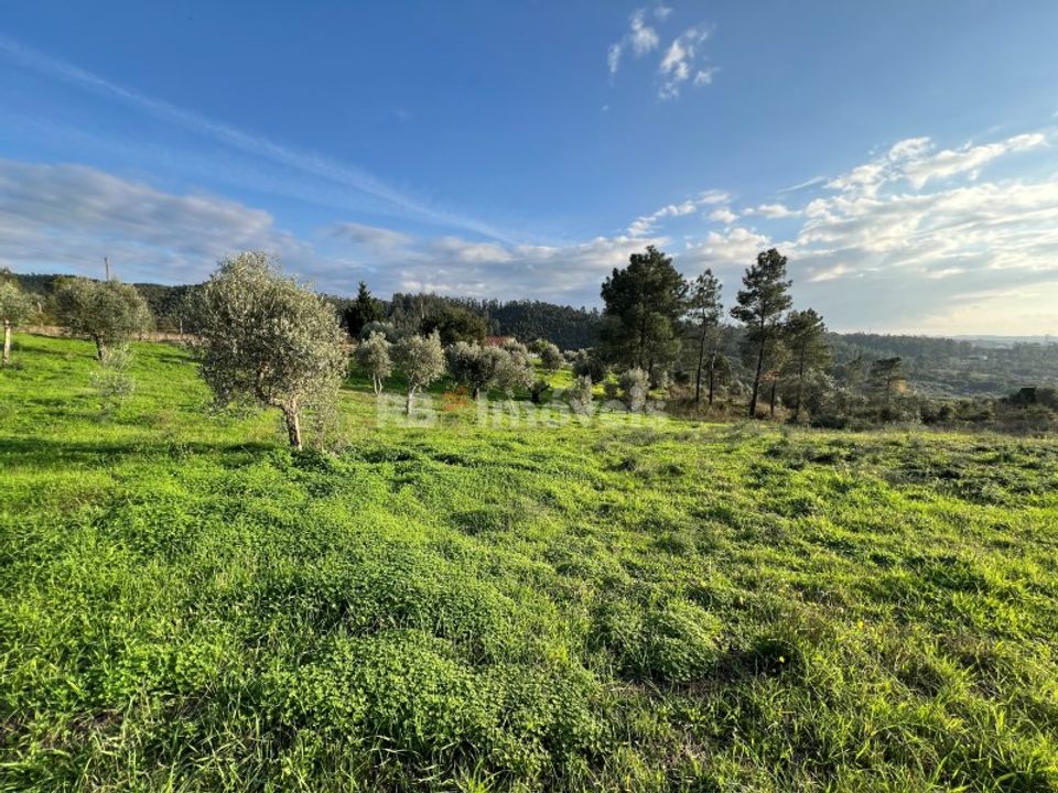 Helårsgrund i Tomar, Santarem - foto 4