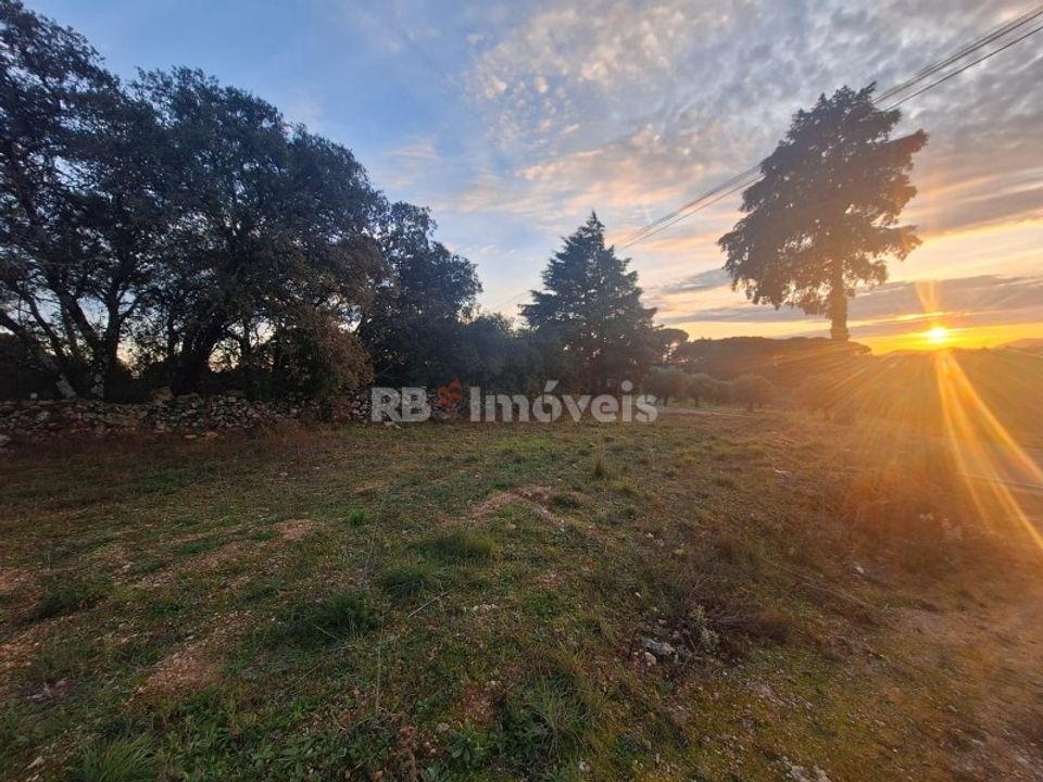 Grond in Assentiz, Santarem - foto 3