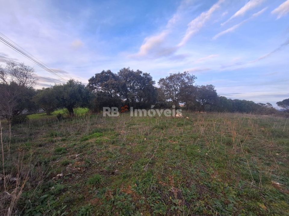 Grond in Assentiz, Santarem - foto 5