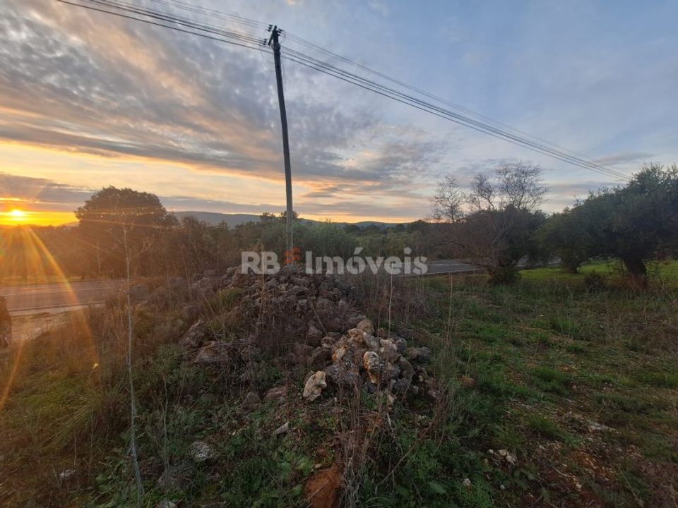 Grond in Assentiz, Santarem - foto 4