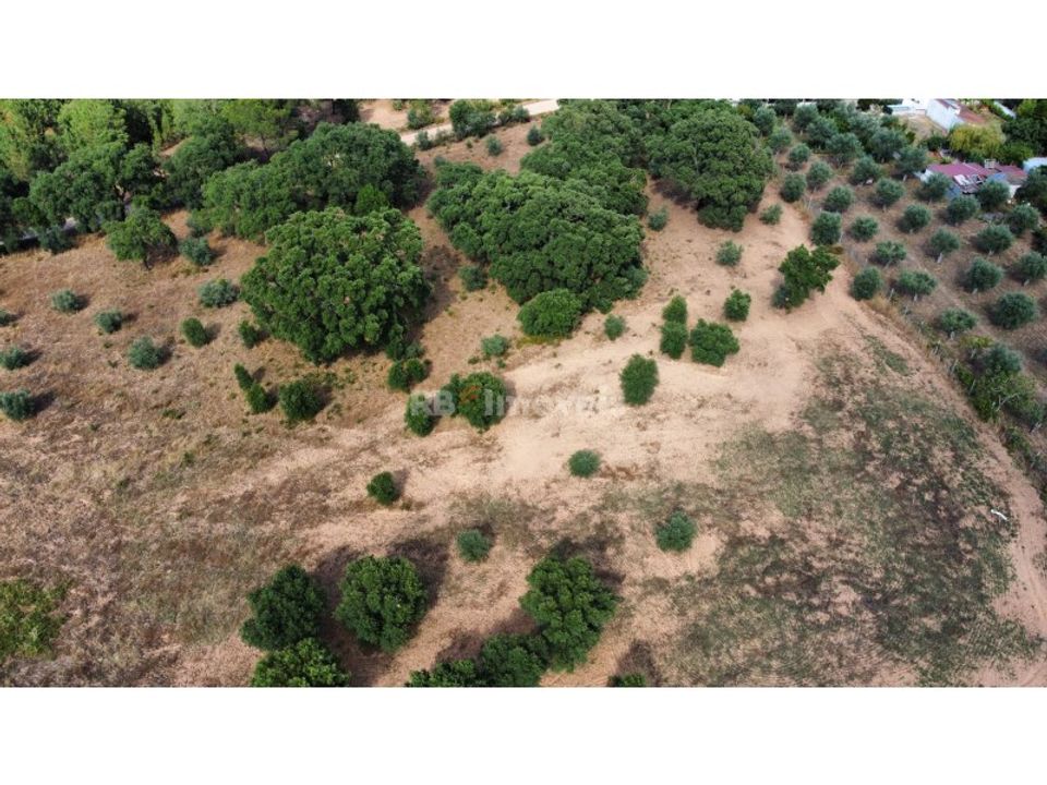 Helårsgrund i Montalvo, Santarem - foto 3