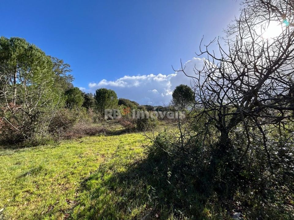 Helårsgrund i Tomar, Santarem - foto 4