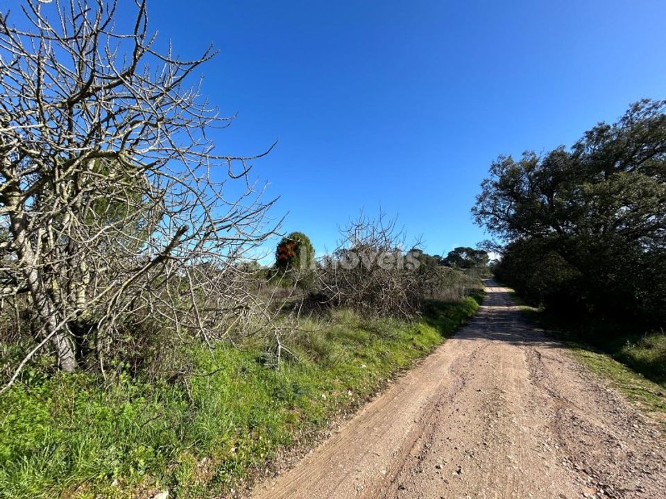 Helårsgrund i Tomar, Santarem - foto 1