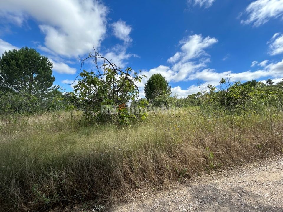 Helårsgrund i Tomar, Santarem - foto 2