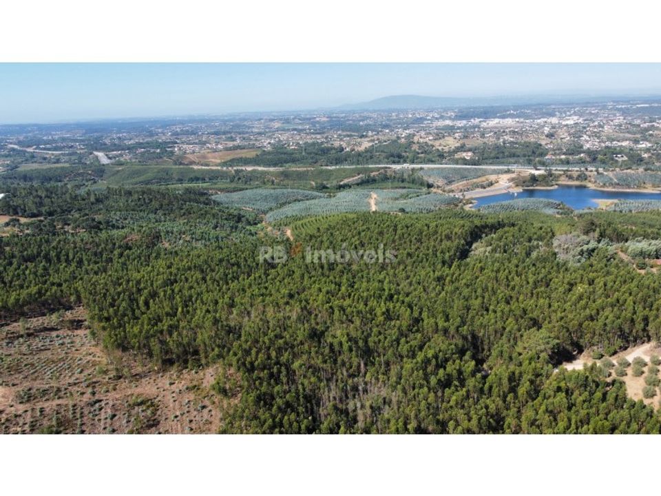Helårsgrund i Tomar, Santarem - foto 2