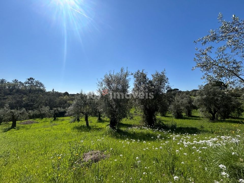Grond in Assentiz, Santarem - foto 2