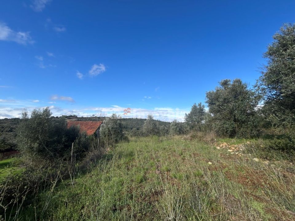Helårsgrund i Tomar, Santarem - foto 1