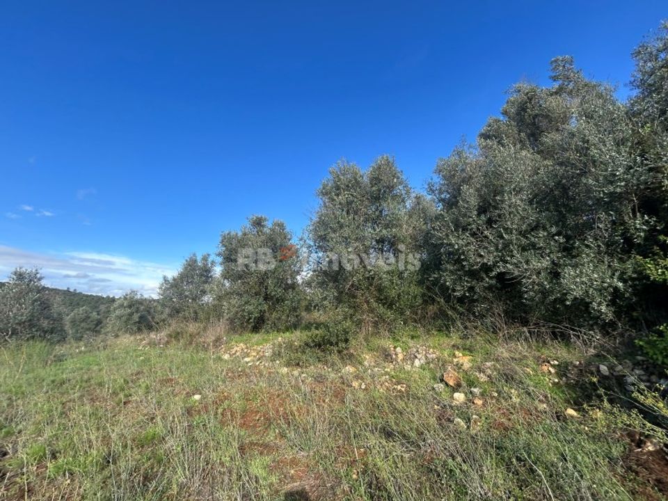 Helårsgrund i Tomar, Santarem - foto 2