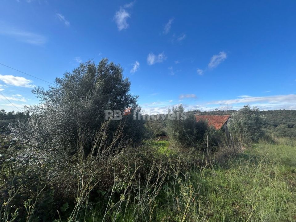 Helårsgrund i Tomar, Santarem - foto 5