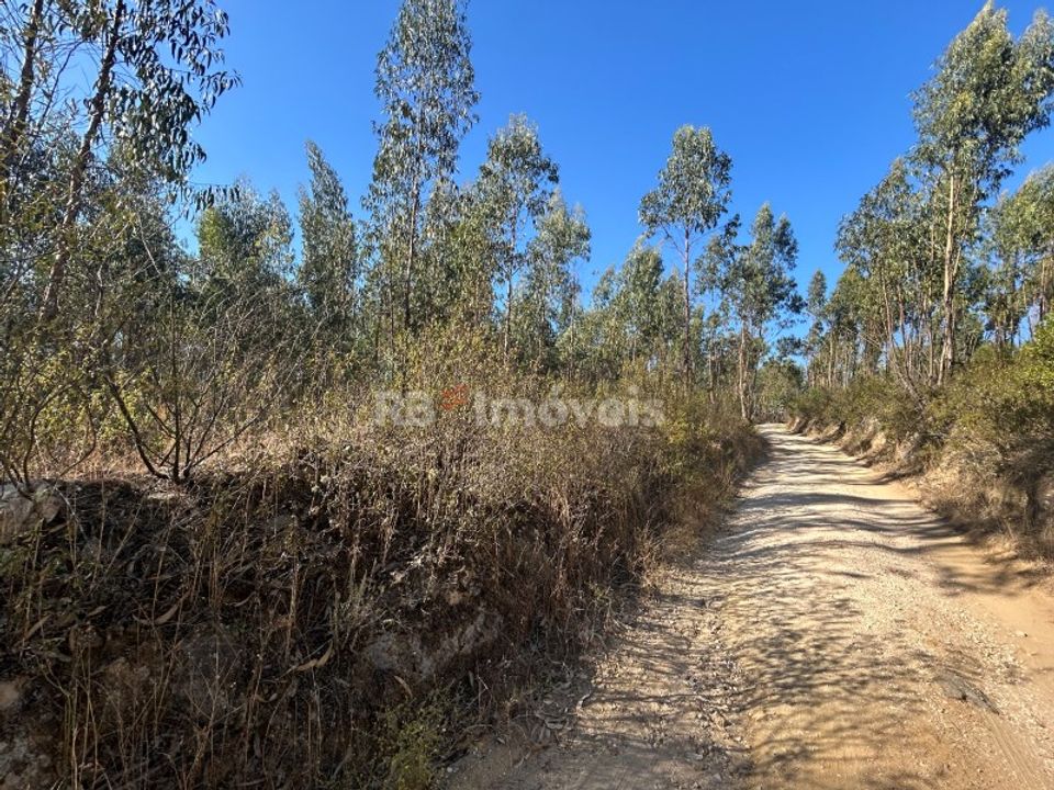 Helårsgrund i Tomar, Santarem - foto 1