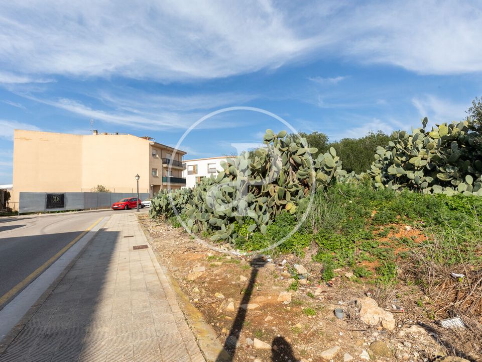 Helårsgrund i Santanyi, Mallorca - foto 2