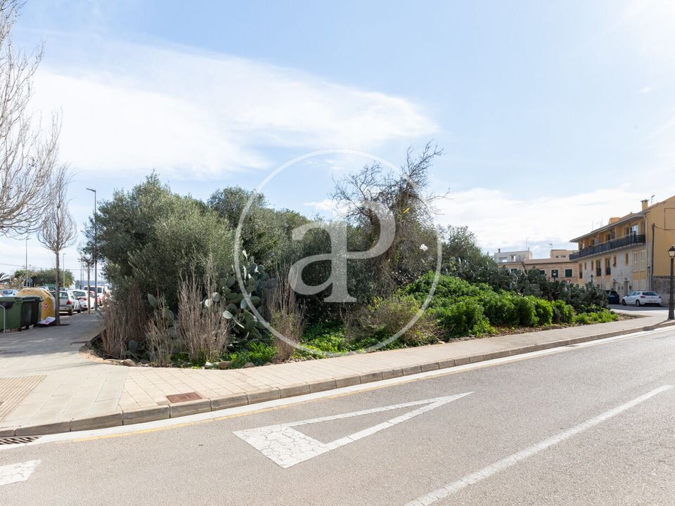 Helårsgrund i Santanyi, Mallorca - foto 3