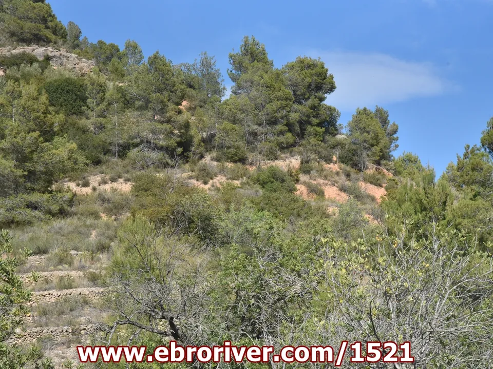 Tomt i Tortosa, Tarragona - bilde 4
