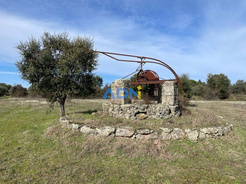 Terra a Ninho do Acor, Castelo Branco - foto 1