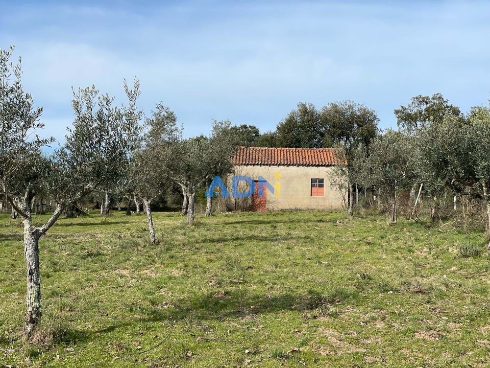 Terra a Ninho do Acor, Castelo Branco - foto 2