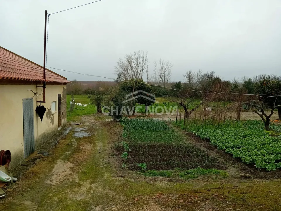 Farm i Mora, Evora - foto 3