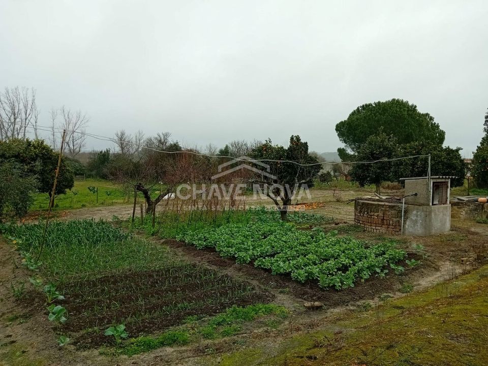 Farm i Mora, Evora - foto 4