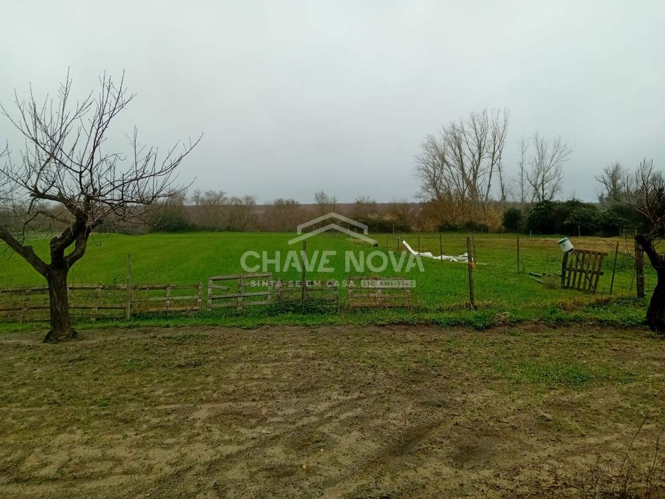 Farm i Mora, Evora - foto 5