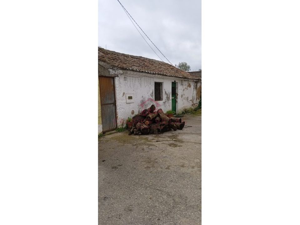 Masia a Abrantes, Santarem - foto 3