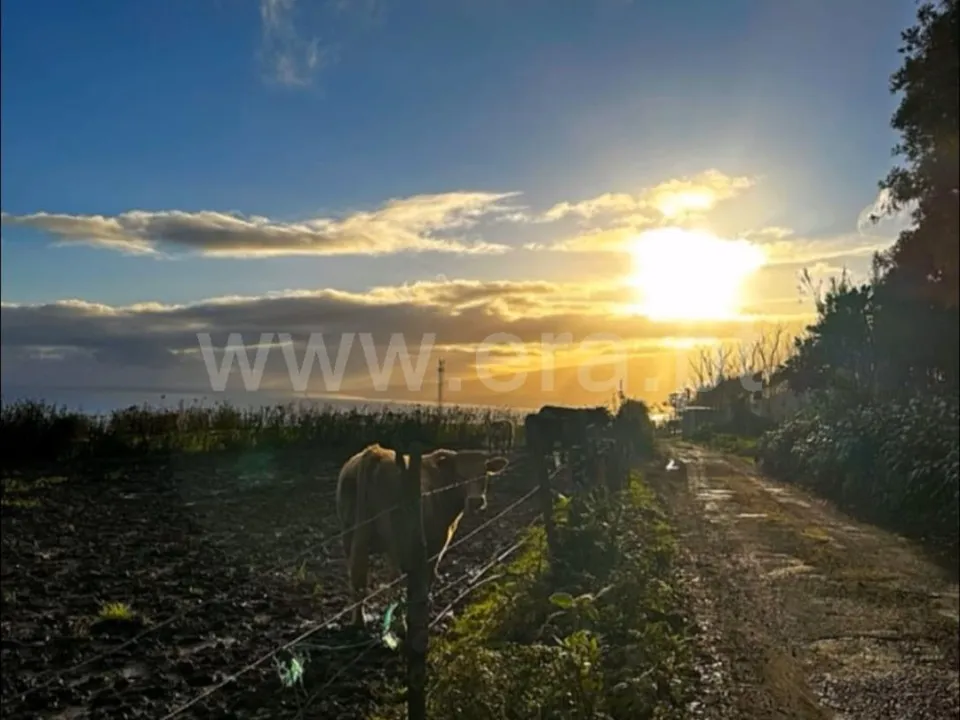 Helårsgrund i Horta, Faial - foto 3