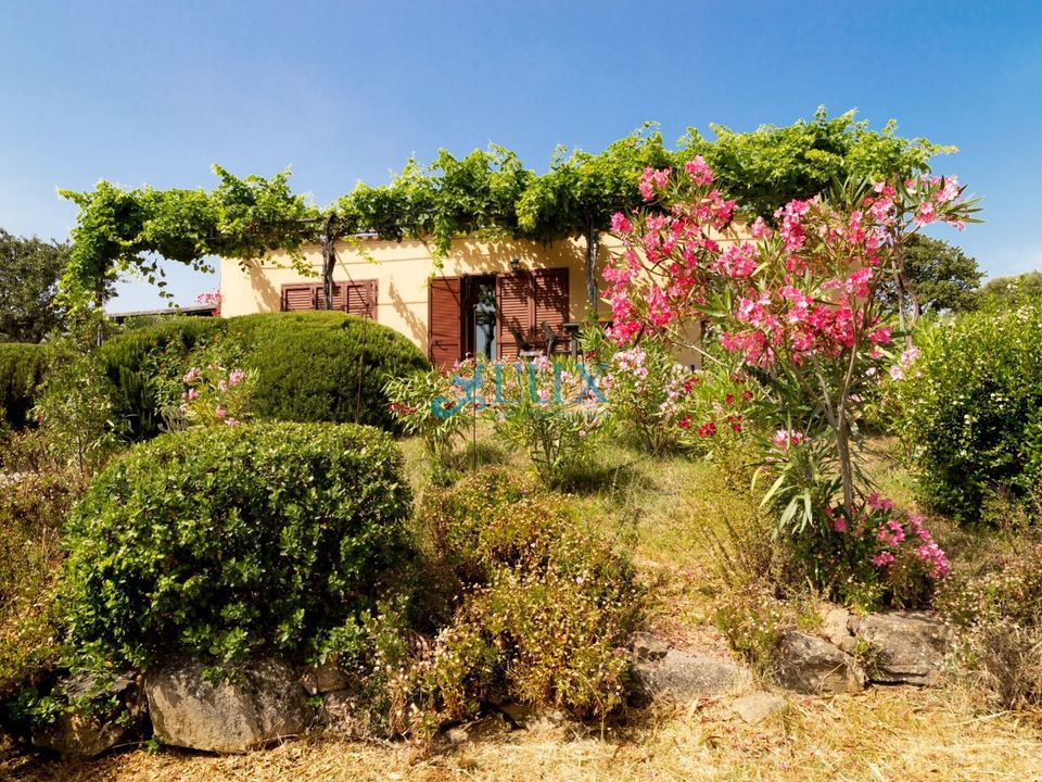 Villa i Olbia, Olbia Tempio - foto 1