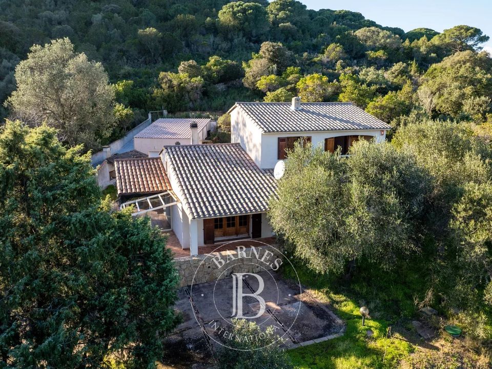 Landejendom i Porto-Vecchio, Corse-du-Sud - foto 2